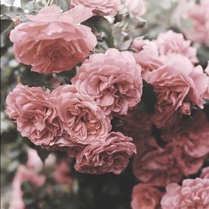 Meet your Posher, Nadia